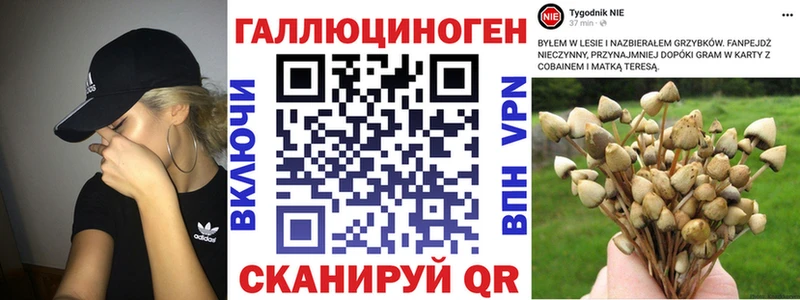 Галлюциногенные грибы Psilocybine cubensis  где продают   Няндома 